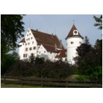 T1725 Schloss Syrgenstein.jpg